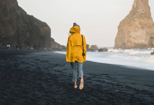 Suspendisse fringilla vel magna lacinia efficitur