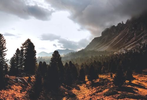 Learnıng front-end development from the best